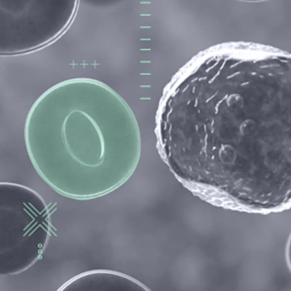 Image Annotation of cells and tissues to help pharmaceutical companies, for Medical AI applications