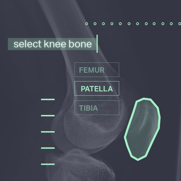 Radiologic-annotation