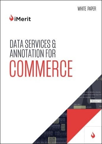 Data Services & Annotation for Commerce