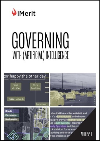 iMerit Government AI White Paper