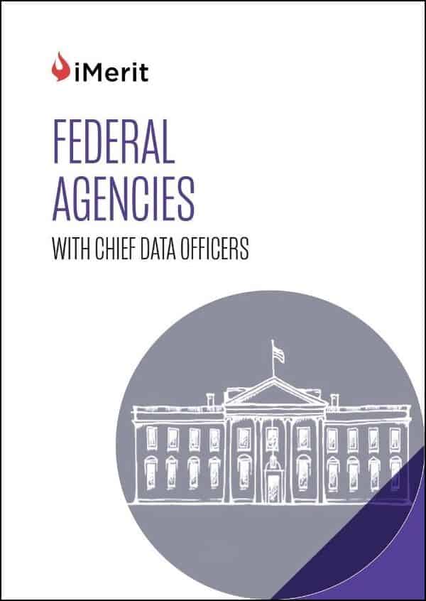 Chief Data Officers