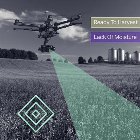IoT in Agriculture