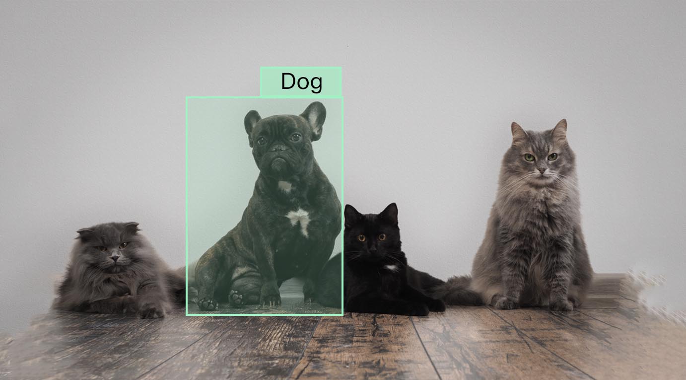 Top 13 Machine Learning Image Classification Datasets.