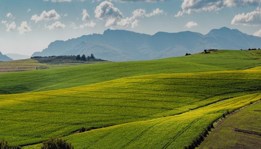 Through crop analysis to pest control, irrigation, and livestock management, computer vision and geospatial analysis can be a game-changer for modern agriculture. 