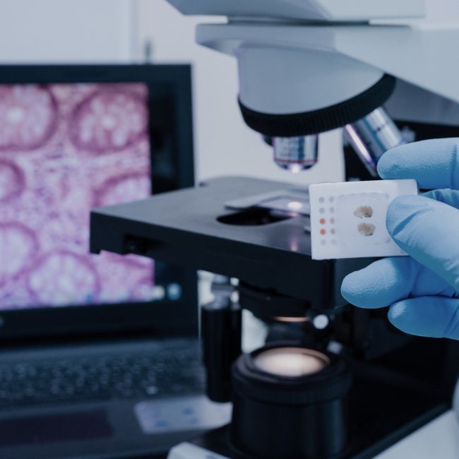 Medical Data Annotation and the Future of Healthcare - iMerit