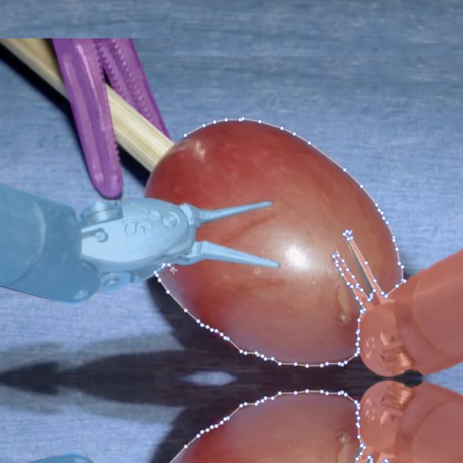 medical robots practicing on a grape