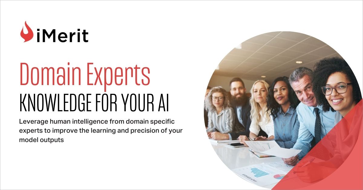 Problem Domain Expert Domain Experts for High Quality Data
