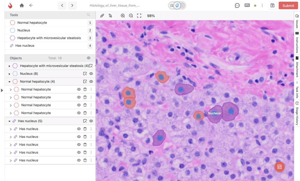 Top Annotation Services & Tooling Providers for Digital Pathology AI (2025)