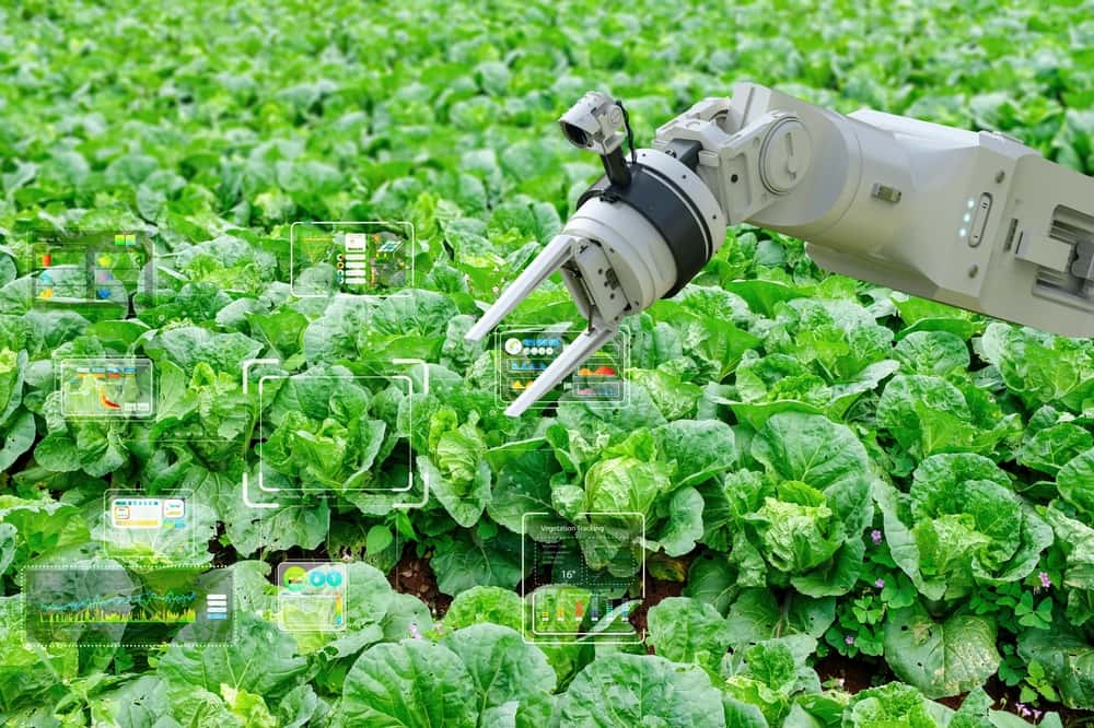 Agriculture technology concept