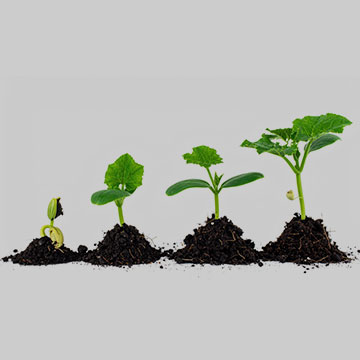 Growth stage labelling