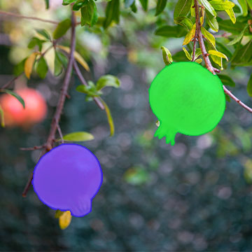 Instance segmentation