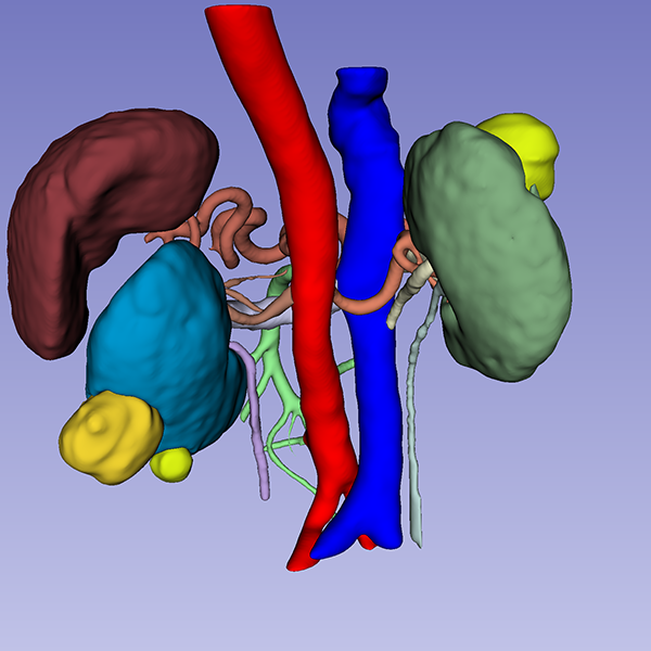 MEDICAL IMAGING