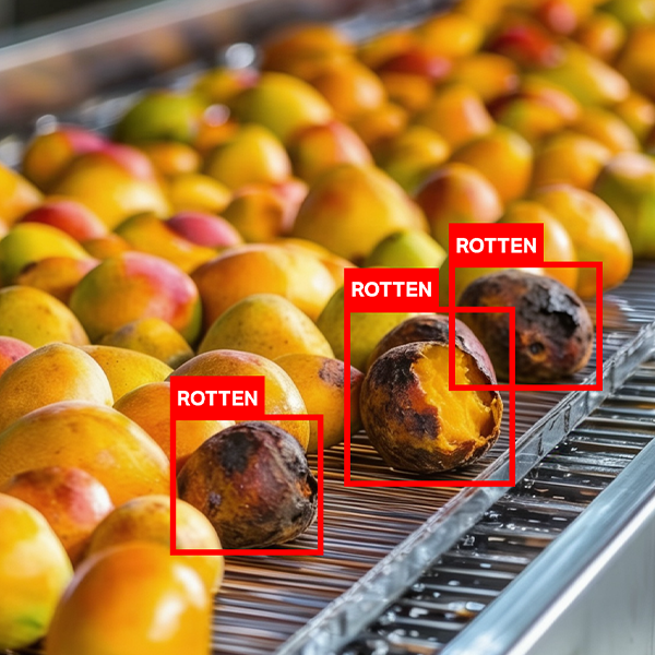 Annotation-capabilities-image-classification