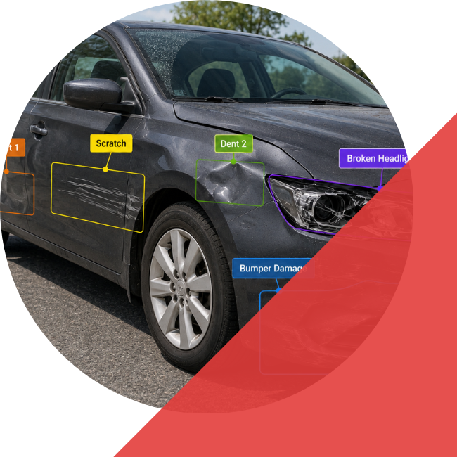 Image Annotation Services