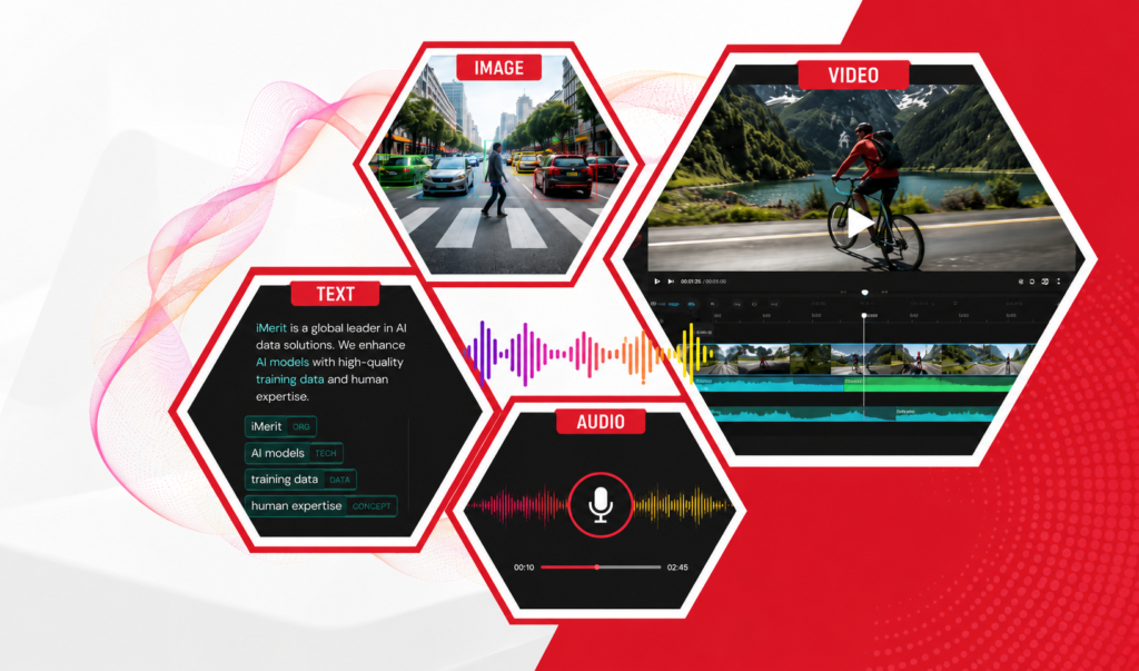 Data annotation strategy for text, image, audio, and video modalities.