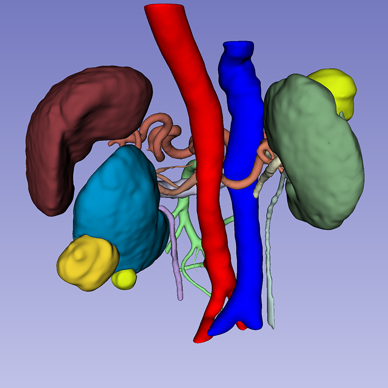 Medical image segmentation