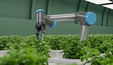 Agriculture