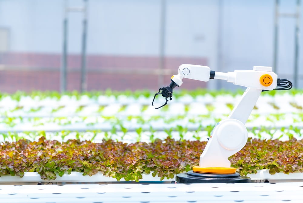 Autonomous robotic arm working in hydroponic greenhouse